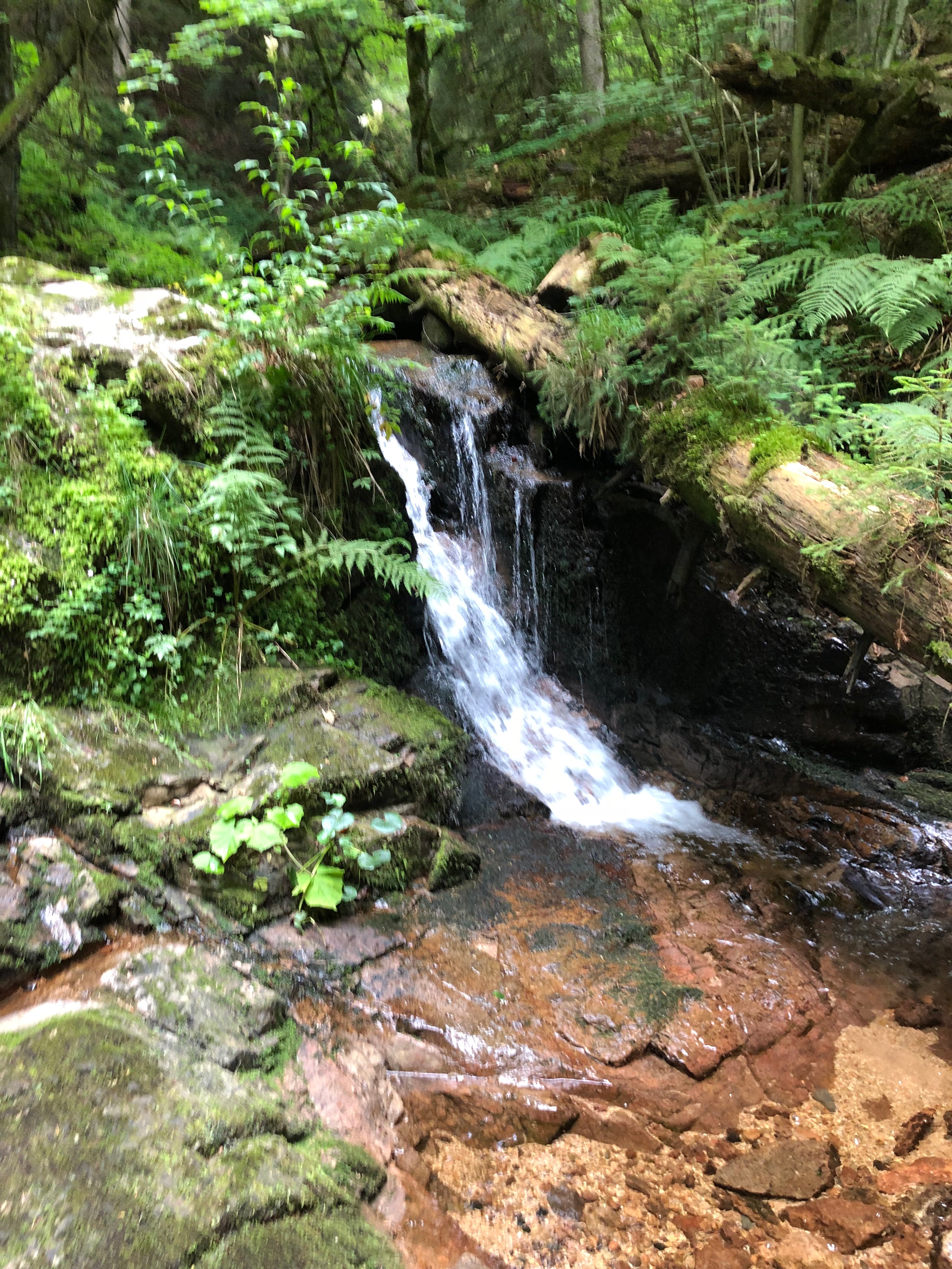 Albsteig
