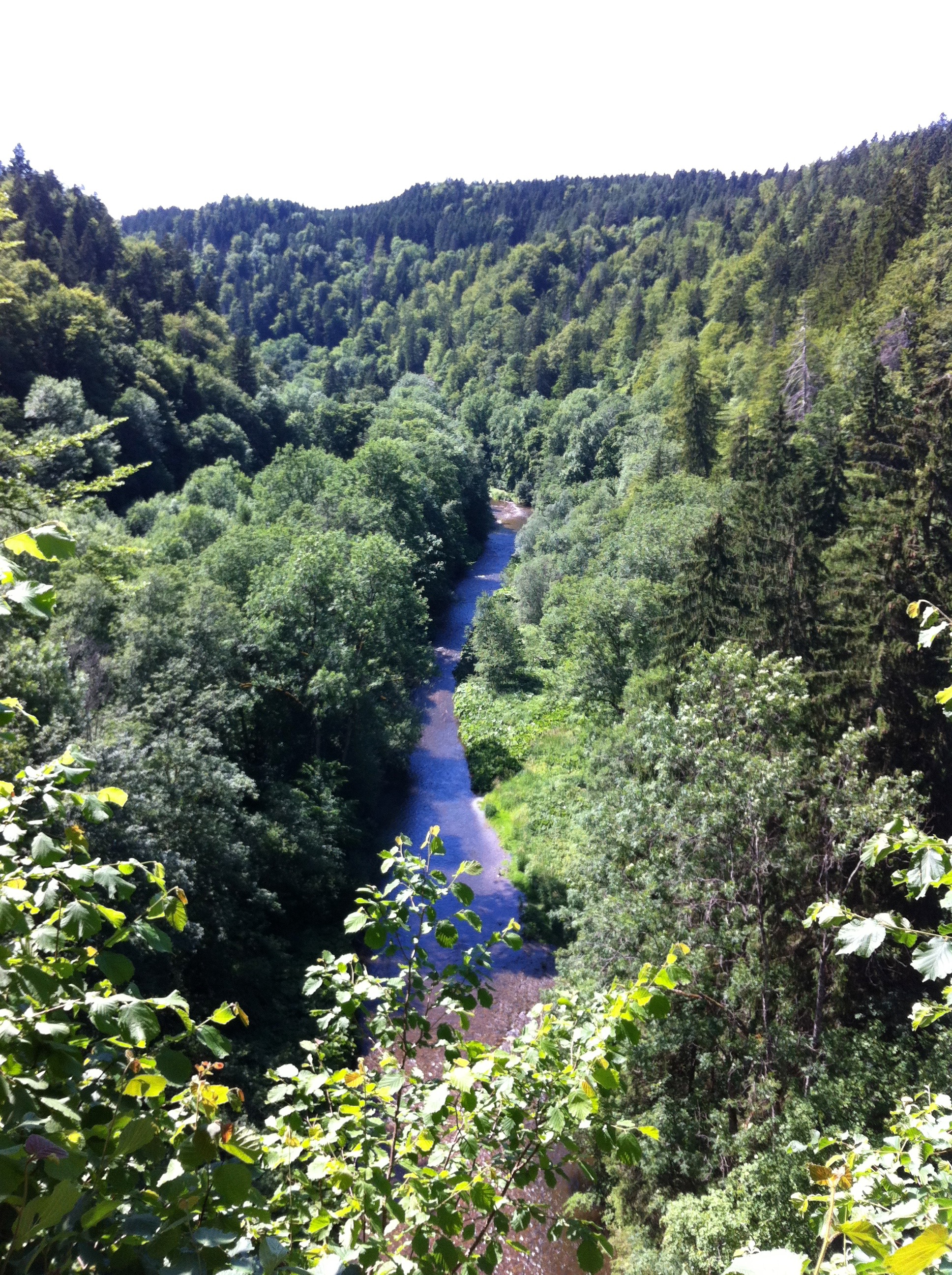 Schluchtensteig