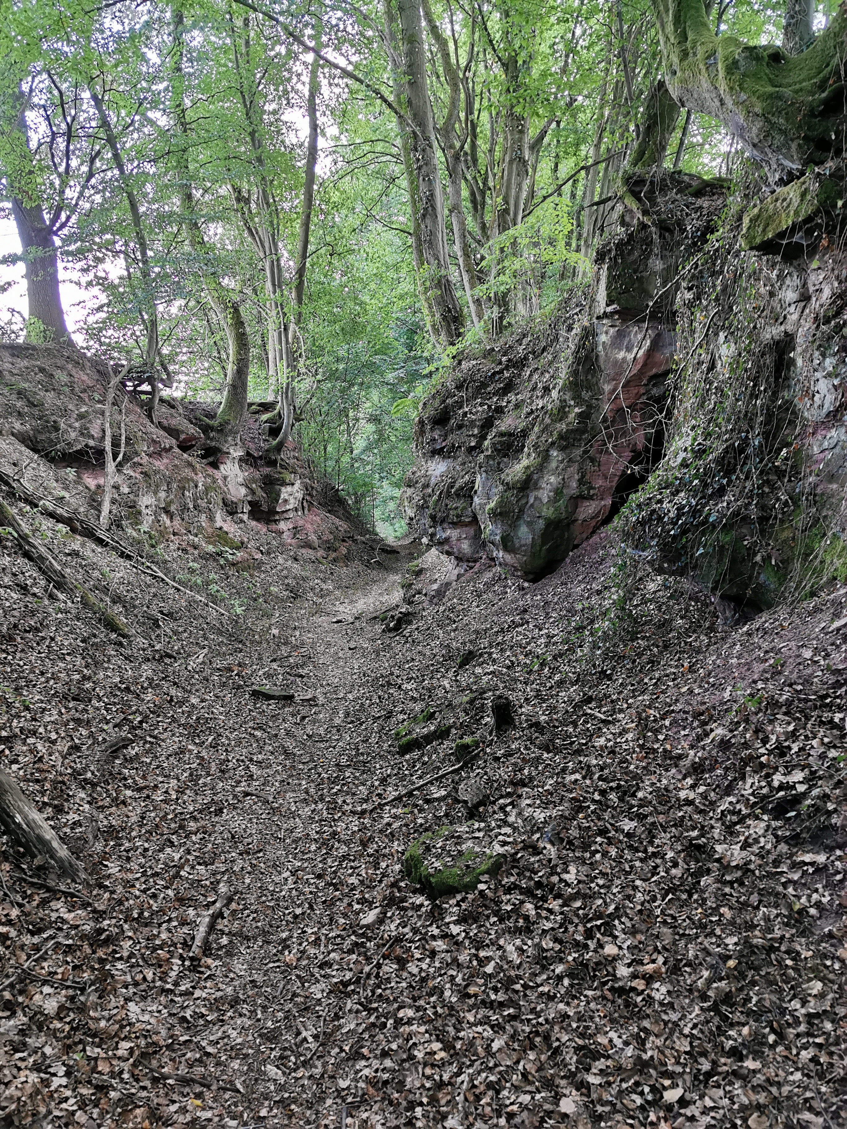 Spessartweg 1